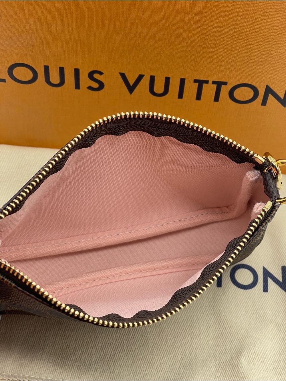 Louis Vuitton Christmas 2020 Pochette Mini Accessories Damier Ebene Vivienne - Picture 13 of 16